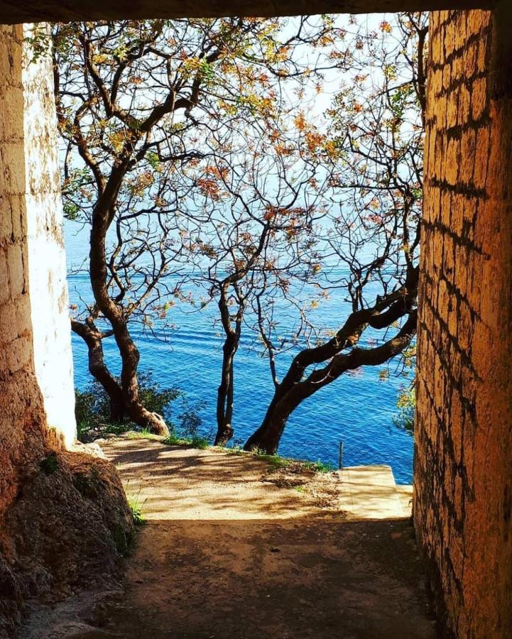 Eden Mediterranean House Vrsine Buitenkant foto